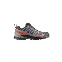 SALOMON Herren Multifunktionsschuhe XA Pro 3D V9 GTX grau | 42