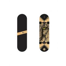 STUF Skateboard LION Braun/Schwarz braun