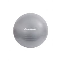 SCHILDKRÖT Gymnastikball 65cm silber