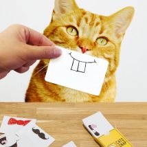 Cat Snap Photo Prop Cards