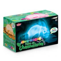 Colour Changing Chameleon Light