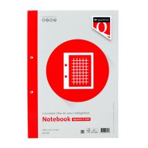 Cursusblok Quantore A4 ruit 5mm 100vel 80gram met kantlijn+