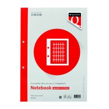 Cursusblok Quantore A4 ruit 4x8 commercieel met kantlijn