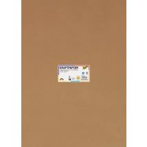 Kraftpapier Folia 50x70cm 120gr 25 vel