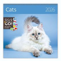 Kalender 2026 Helma 365 30x30cm katten