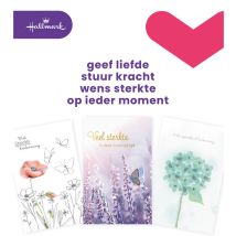 Wenskaart Hallmark Business Box condoleance navulset à 10 stuks