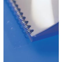 Filestrip GBC 34-gaats A4 transparant 100stuks