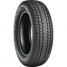 GRIPMAX SUREGRIP EWINTER 175/65R17 87V BSW
