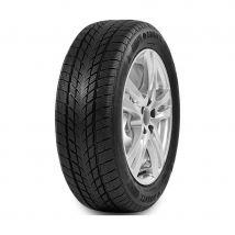 DAVANTI WINTOURA 205/55R16 94H BSW XL