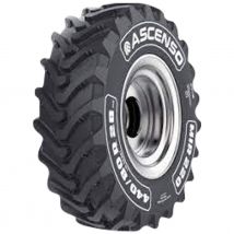 ASCENSO 500/70 R 24 TL 164A8/164B MIR 220 R-4 STEEL-BELTED