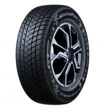 GT-RADIAL WINTERPRO2 195/60R16 89H BSW