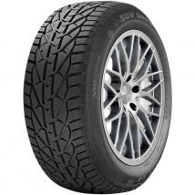 RIKEN RIKEN SUV SNOW 225/60R18 104H XL
