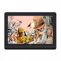 XPPEN Artist Pro 16 Gen 2/5080LPI/16"/Noir