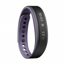 Garmin VIVOSMART  - Taille Small Violet