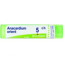 Boiron Anacardium Orientale 05Ch Granuli Omeopatici in Tubo da 4g