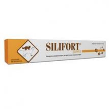 Silifort Pasta Osteoarthritis Siringa da 15g