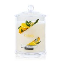 Wax Lyrical Jar Candle Small Lemon Grove
