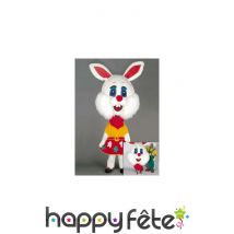 Grosse tête de lapin