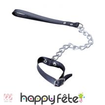 Laisse et collier zizi