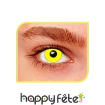 Lentilles jaunes