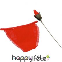 Rose slip rouge