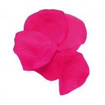 100 pétales de rose fuchsia