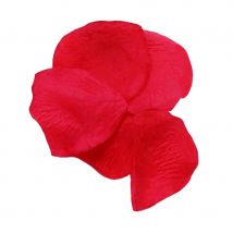 144 pétales de roses rouges