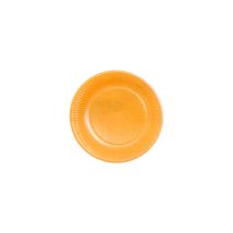 Assiettes en carton mandarine (MANDARINE)