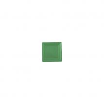 Assiettes en plastique carrées verts sapin (VERTSAPIN)
