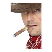 cigare allumé