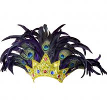 Coiffe brésilienne plumes
