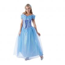 Costume de cendrillon pour femme adulte (L)