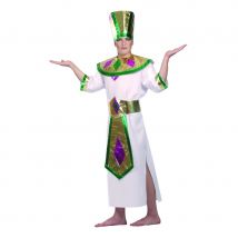 Costume d'Egyptien Agamemnon (L)