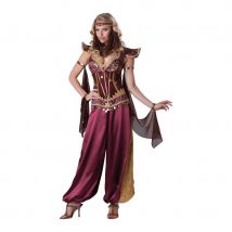 Costume de femme orientale haut de gamme (M)