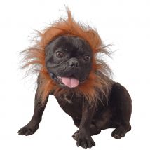 Costume de lion pour chien (Taille unique)