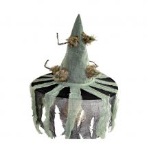 Chapeau pointu de rats pour sorcière