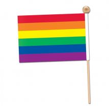 Drapeau Arc-en-ciel en tissu de 9,5 x 15 cm