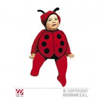 Déguisement coccinelle pour bébé (2/3 ans)