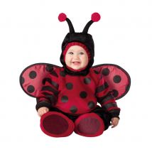 Déguisement de bébé coccinelle (12/18 mois)
