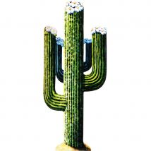 Décor de cactus en carton