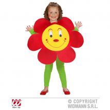 Déguisement de fleur pour enfant (2/5 ans)