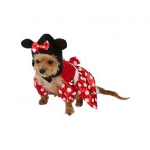 Déguisement de Minnie Mouse pour chien (S)