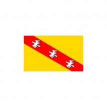 Drapeau Lorraine (80x120)
