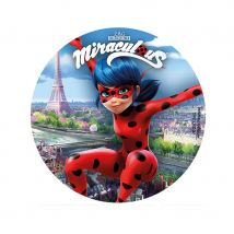 Disque Ladybug en sucre de 16cm