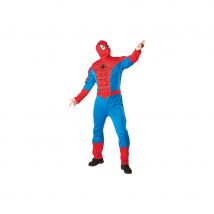 Déguisement spiderman muscle adulte (M)