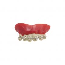 Fausses dents avec appareil dentaire