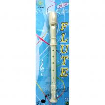 Flute en plastique