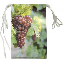 Guirlande fanions des vendanges