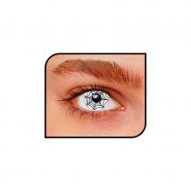 Lentilles araignée (1 jour)