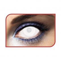 Lentilles blanc intégral (1 an)